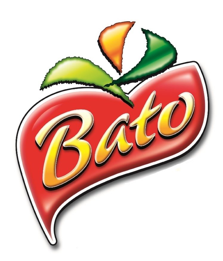 مدیر کارخانه | Factory Manager - باتو | Bato