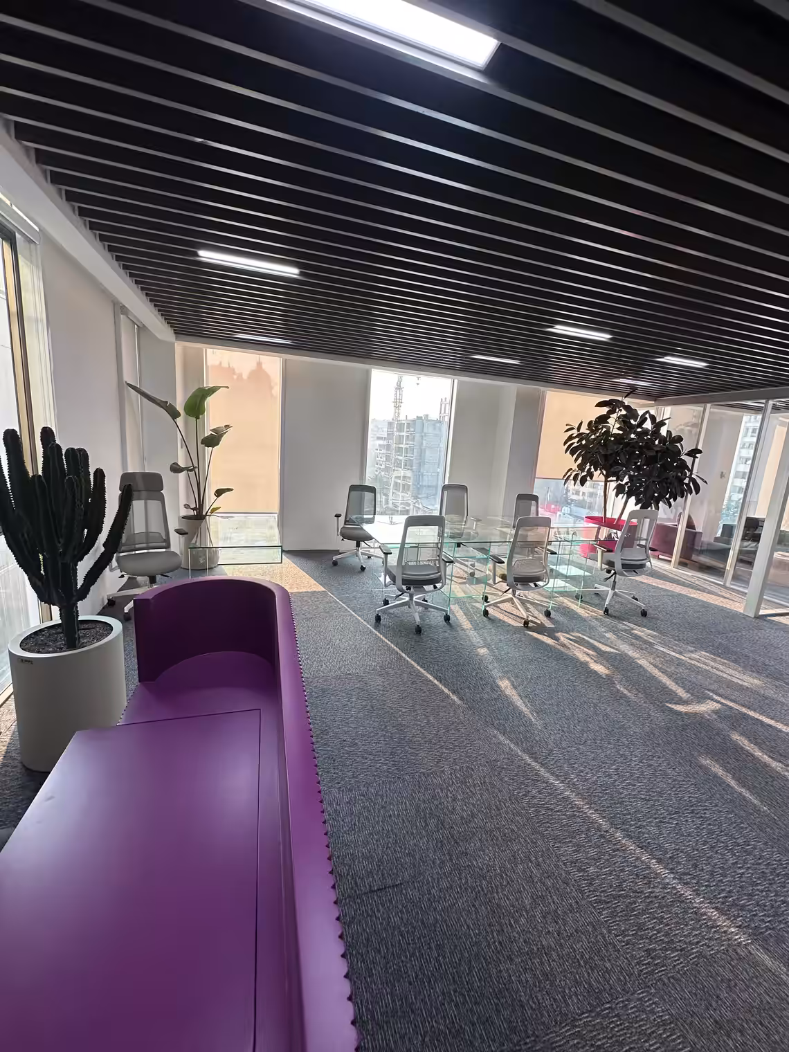 استخدام در گروه نوآوران گیلاس سفید