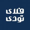 استخدام در فلای تودی