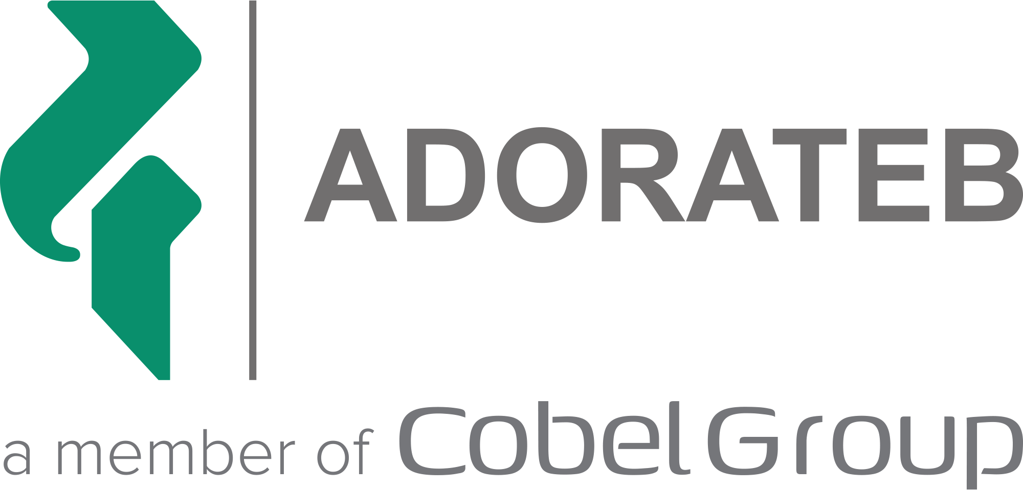 حسابرس داخلی | Internal Auditor - آدوراطب | Adorateb