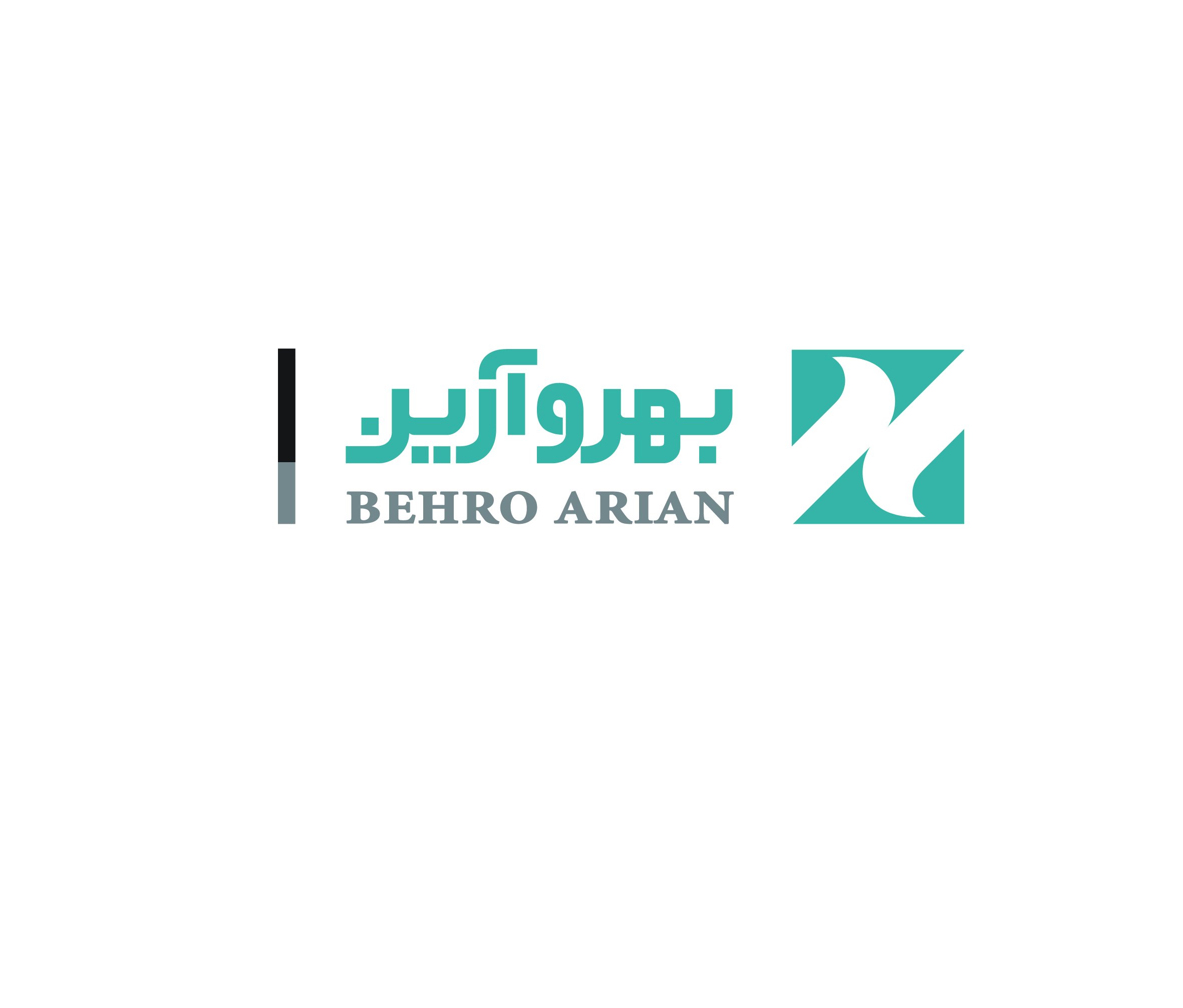 حسابدار حرفه ای | Senior Accountant - بهرو آرین | Behro Arian