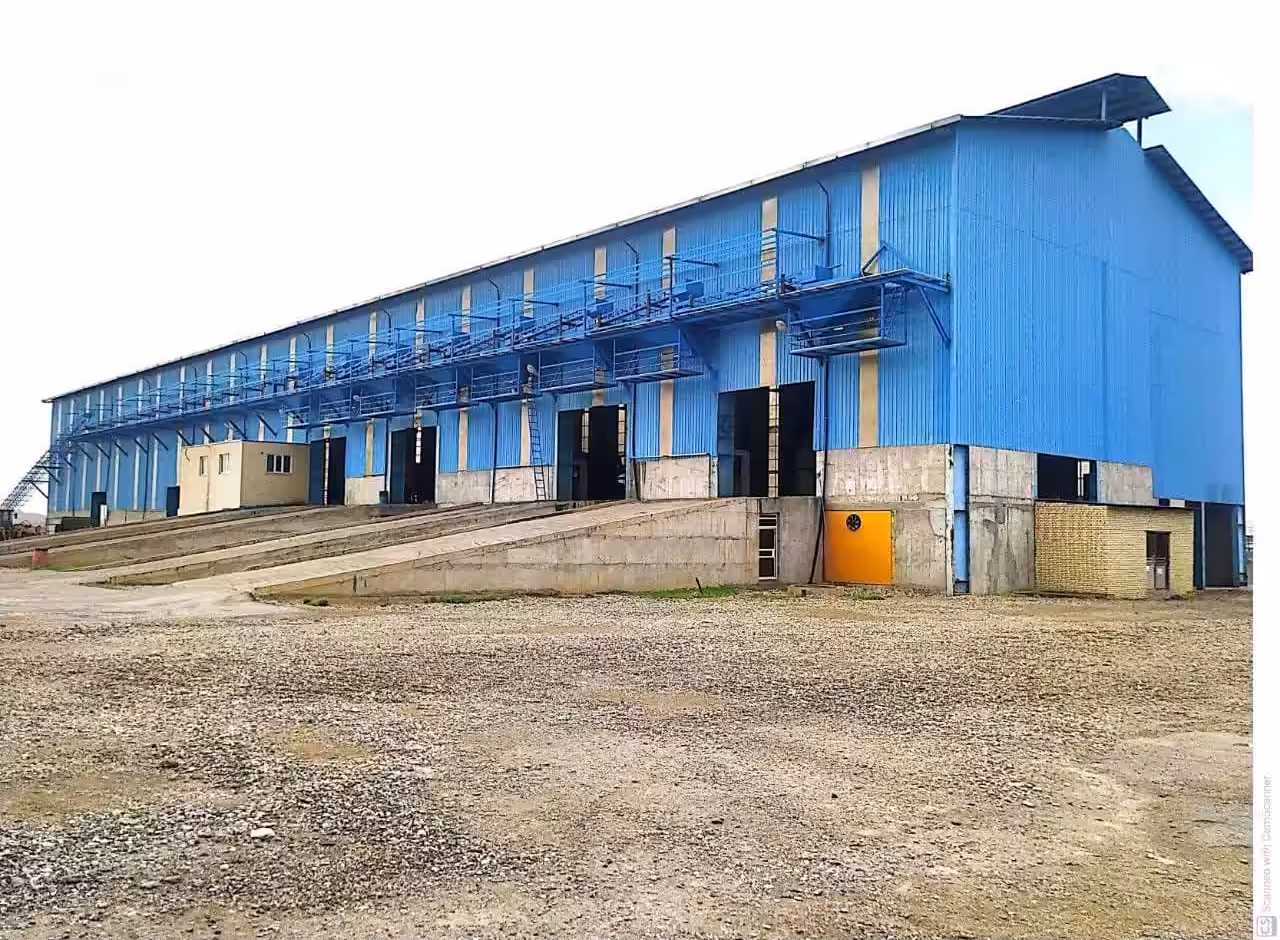 استخدام در undefined