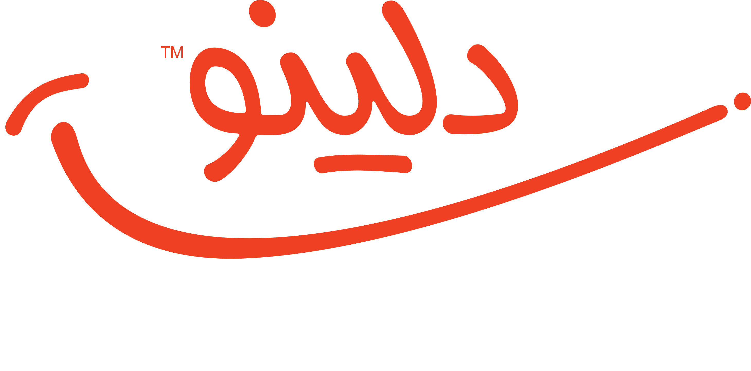 مدیر تیم فنی | Technical Team Lead - دلینو | Delino
