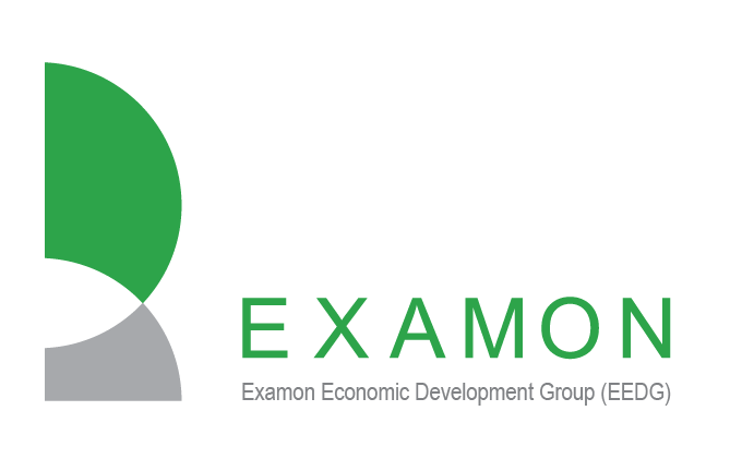 تحلیلگر ارشد مالی | Senior Financial Analyst - گروه توسعه اقتصادی اگزامون | Examon Economic Development Group