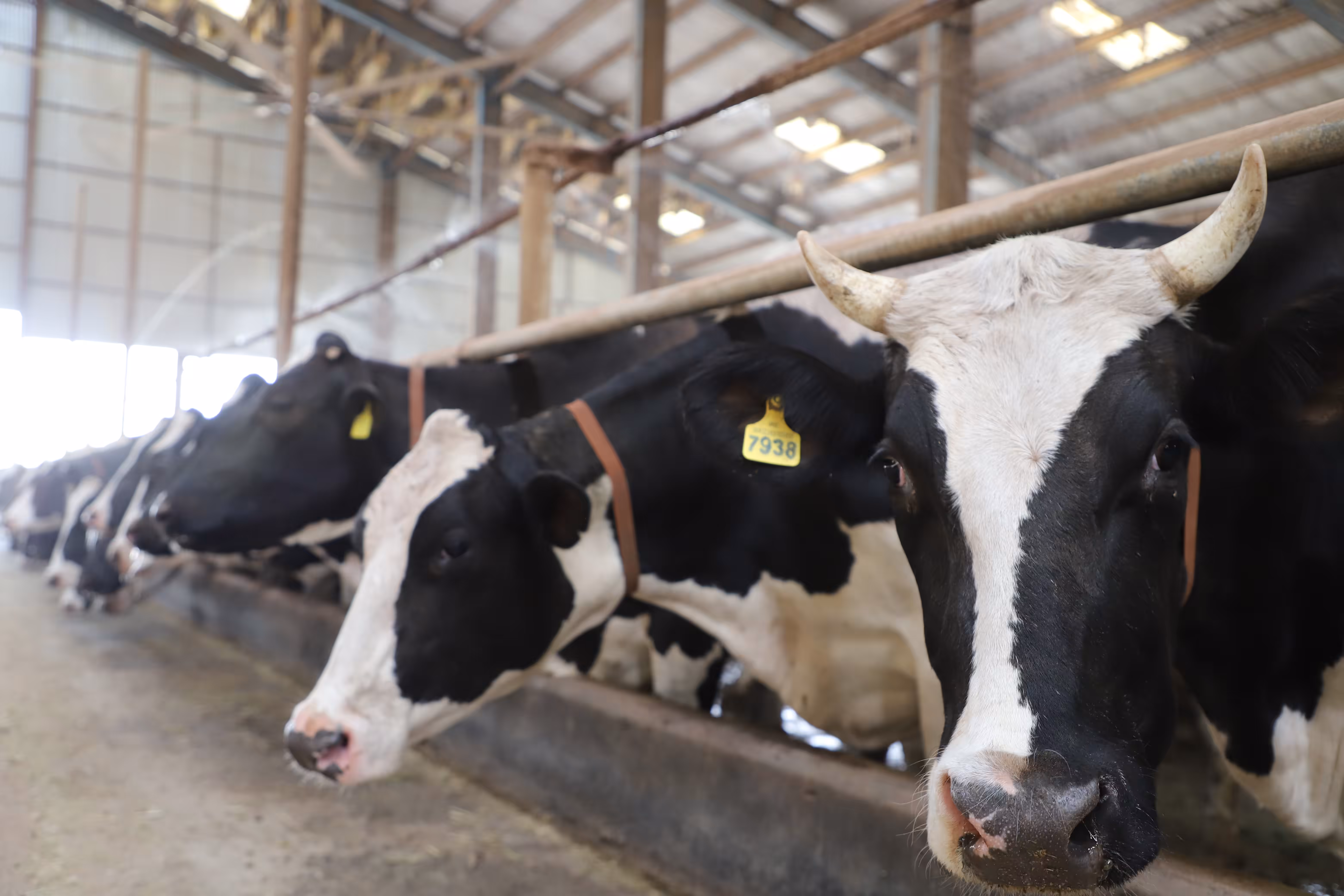 استخدام در undefined