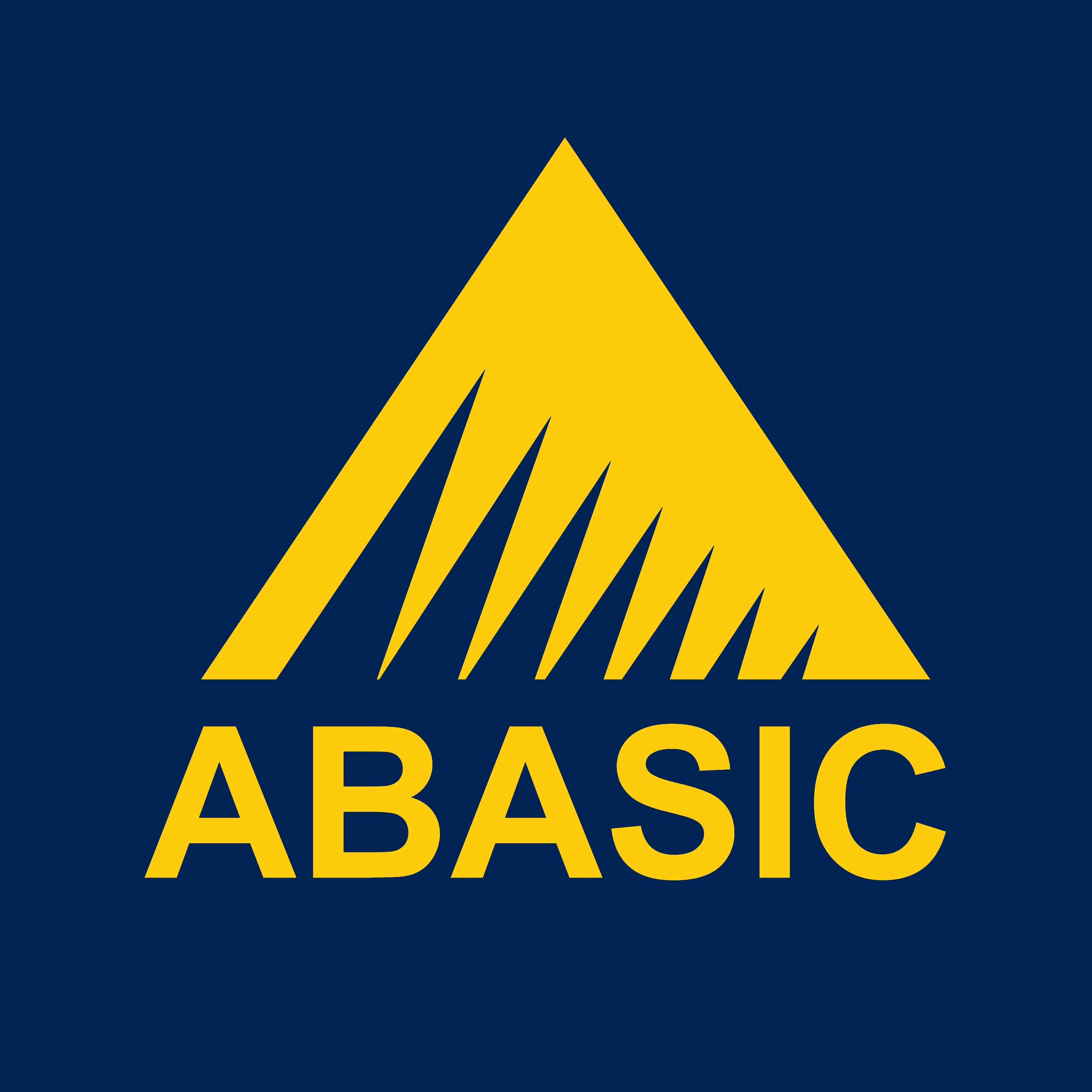 کارشناس حسابداری | Accounting Expert - آباسیک | ABASIC