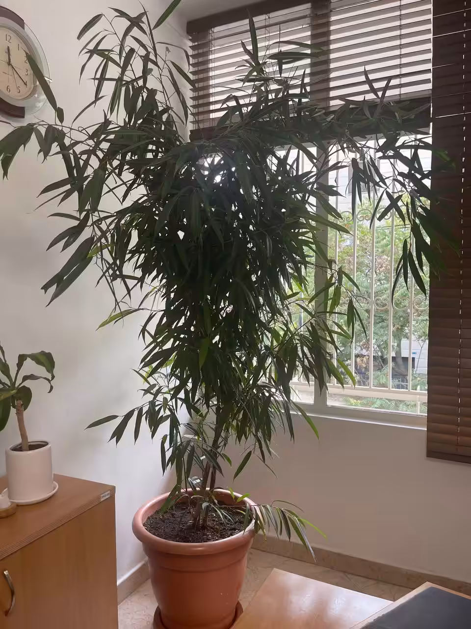 استخدام در undefined