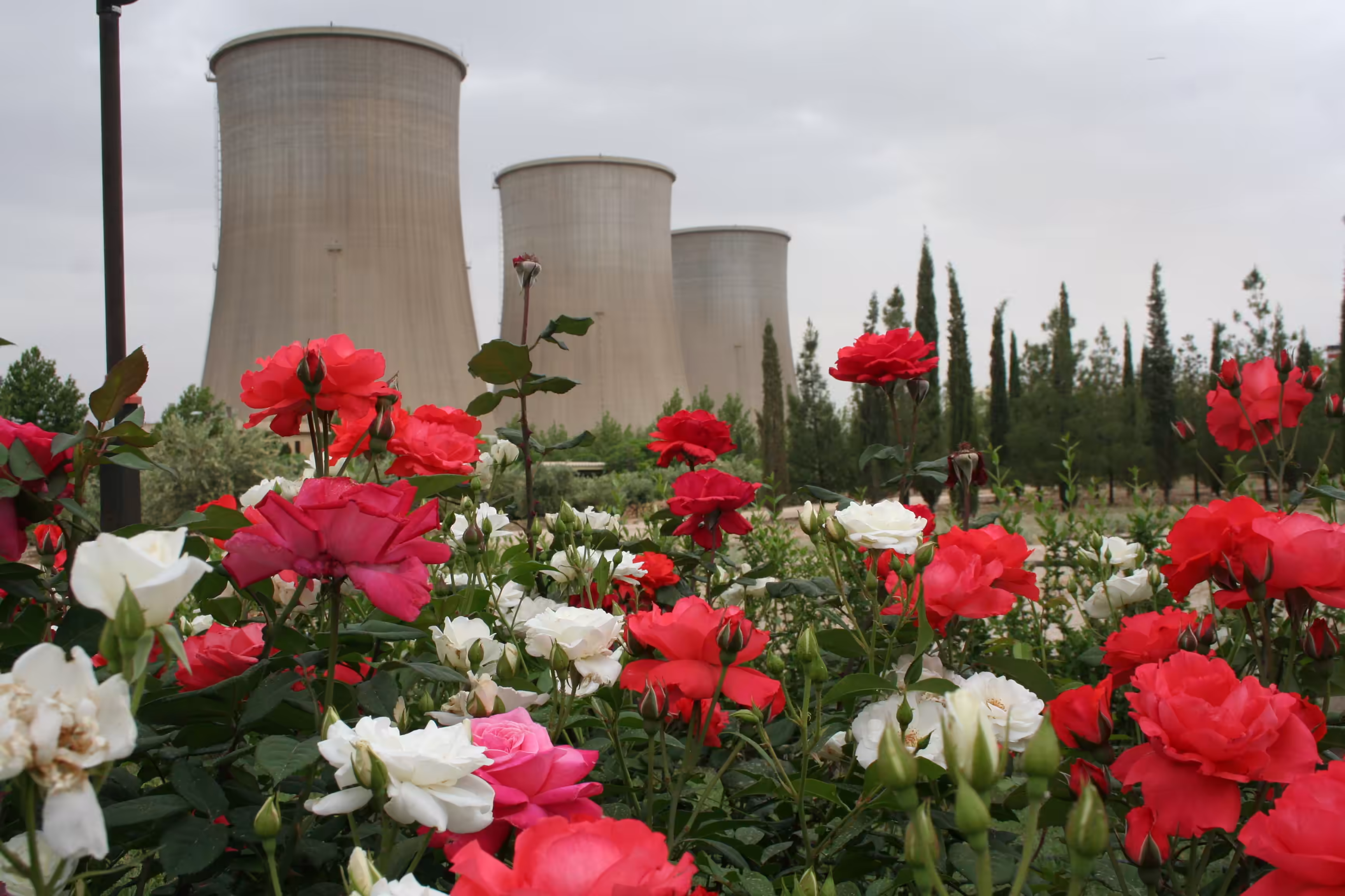 استخدام در undefined