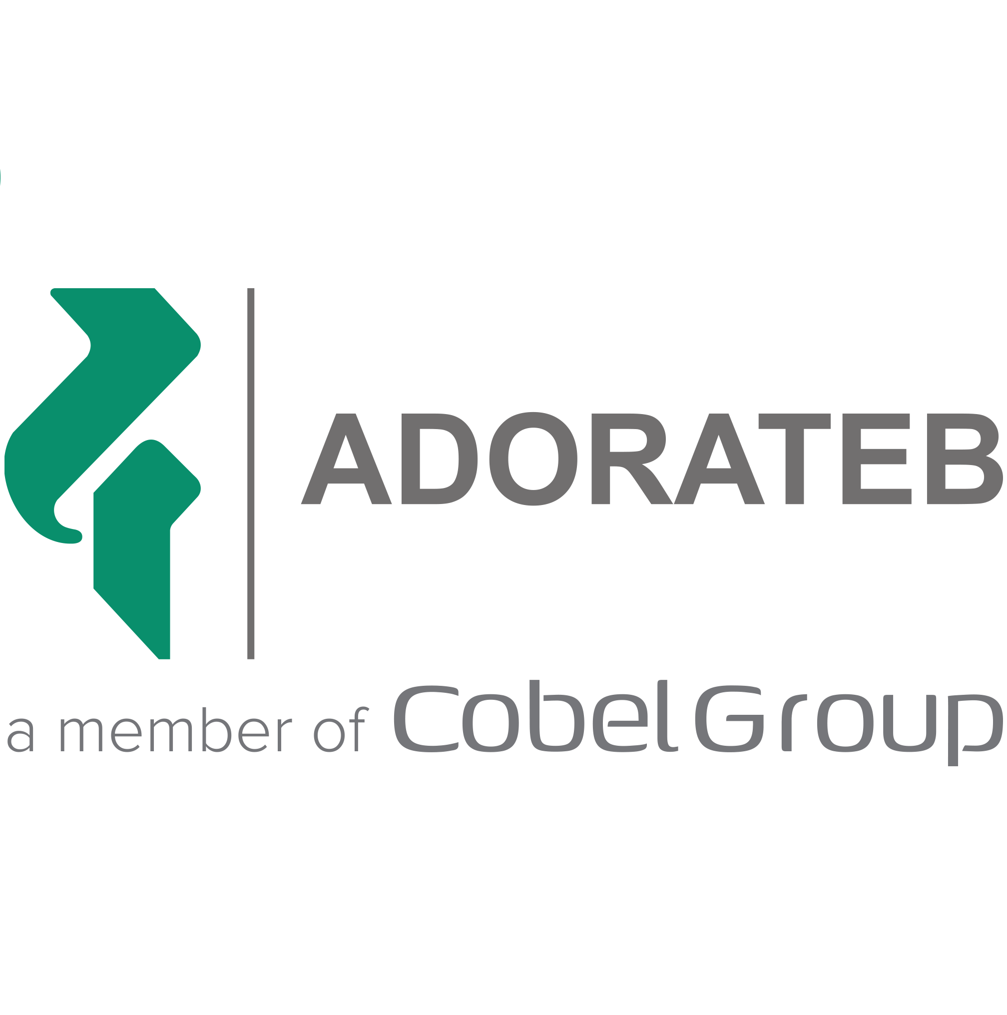 مدیر بازاریابی تجاری | Trade Marketing Manager - آدوراطب | Adorateb