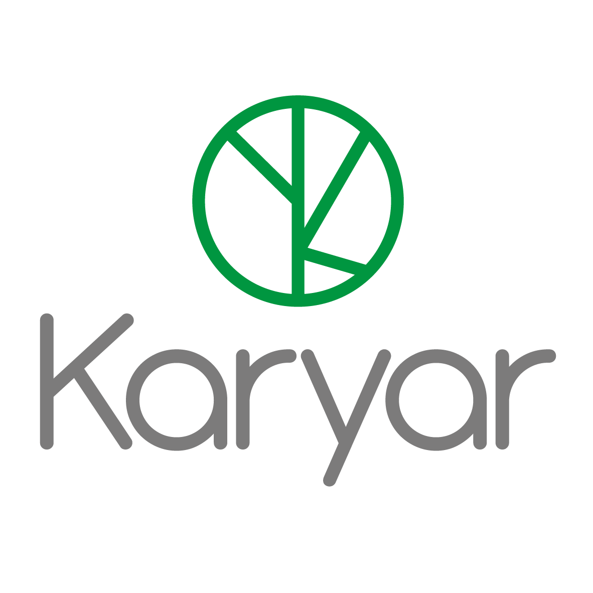 مدیر ارشد عملیات | Chief Operating Officer - کاریار | Karyar