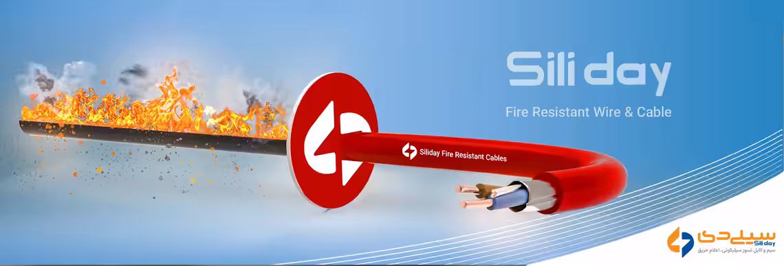 استخدام در دی کابل پاسارگاد