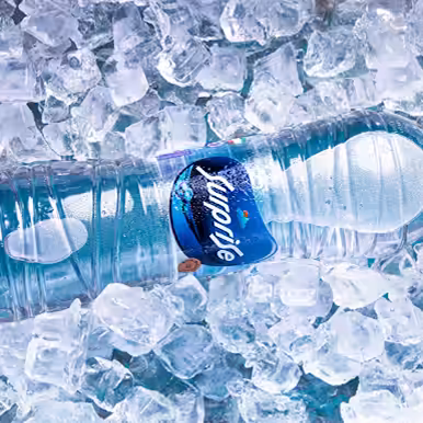 استخدام در آکواتیک استار ایرانیان (سورپرایز)