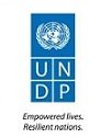 استخدام در برنامه توسعه سازمان ملل متحد
