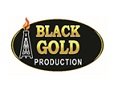 استخدام در پترو صنعت طلای سیاه